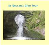 St Nectan's Glen Tour